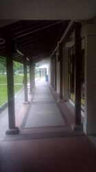 Blk 605 Choa Chu Kang Street 62 (Choa Chu Kang), HDB 5 Rooms #505574901